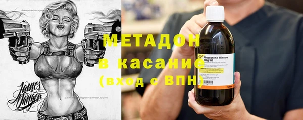 индика Алексин