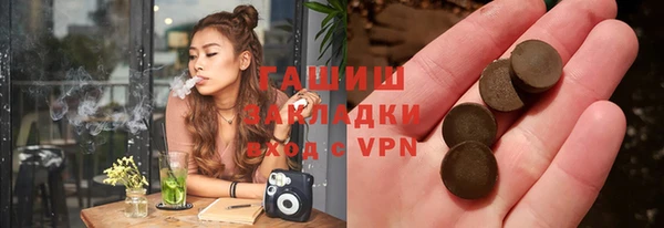 индика Алексин