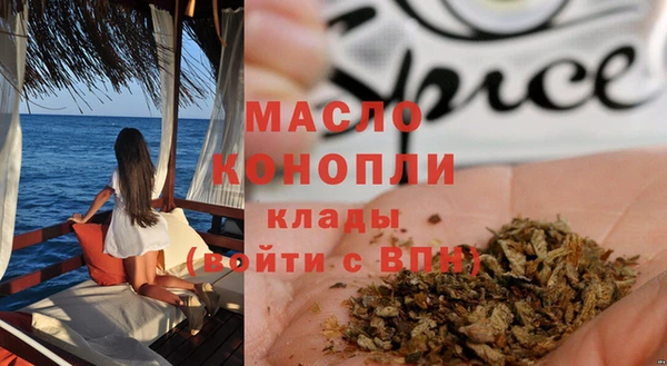 индика Алексин
