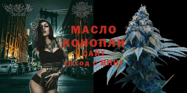 индика Россошь