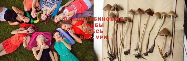 индика Алексин