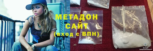 индика Алексин