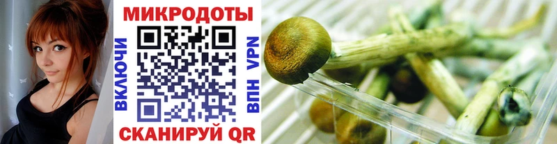 гидра как зайти  Дорогобуж  Галлюциногенные грибы MAGIC MUSHROOMS 